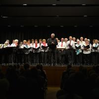 Konzert Musigfrüelig Männedorf 19. März 2017